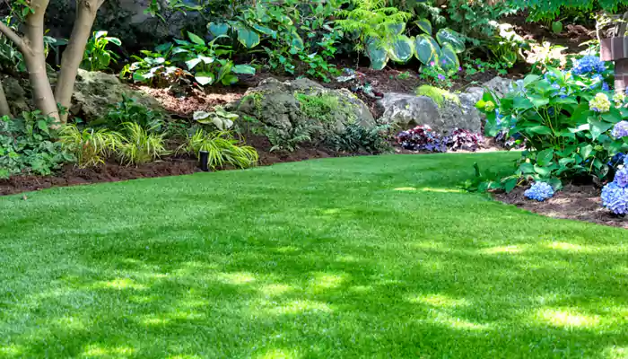 Five Steps To A Beautiful Organic Lawn